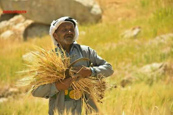 Inventory of Intangible Cultural Heritage: Harvesting